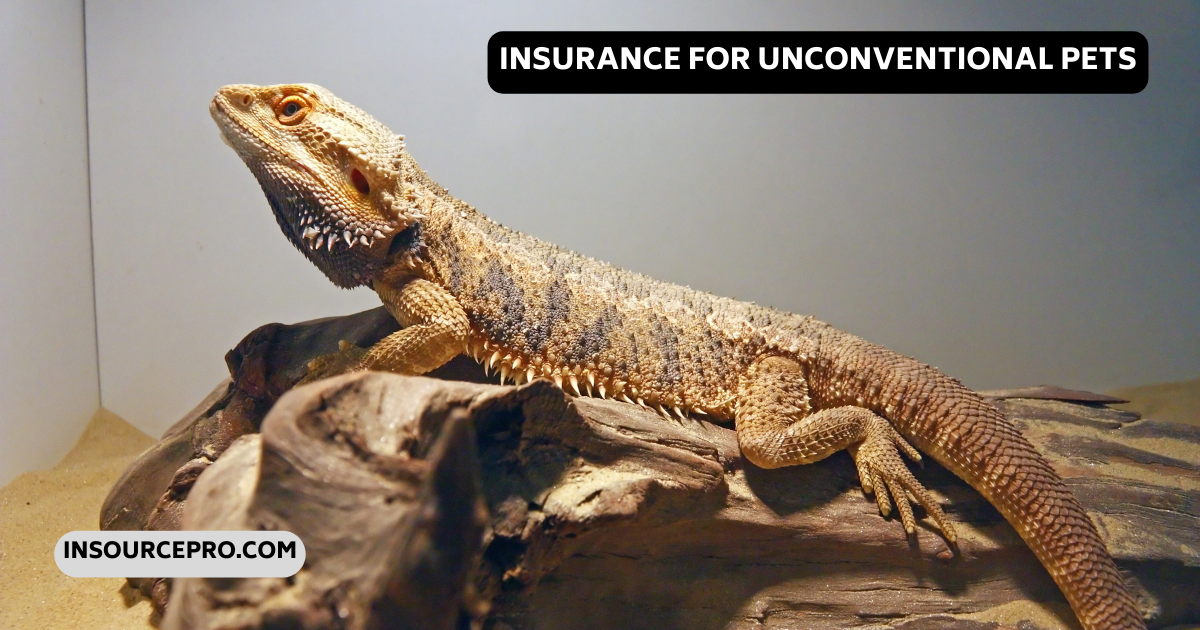 Insurance for Unconventional Pets