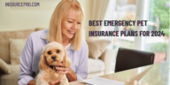 Best Emergency Pet Insurance Plans for 2024