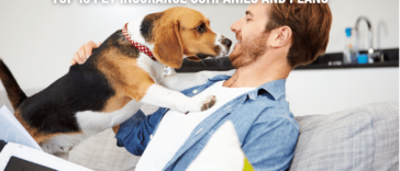 Top 10 Pet Insurance Companies and Plans